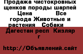 Продажа чистокровных щенков породы шарпей › Цена ­ 8 000 - Все города Животные и растения » Собаки   . Дагестан респ.,Кизляр г.